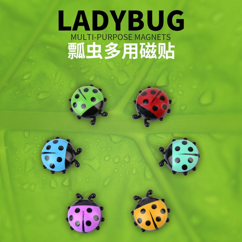Drop Shipping General Merchandise Cartoon Ladybug Plastic Magnetic Fridge Magnet Magnet Sticker Message Note Photo Home Hanging Magnetic