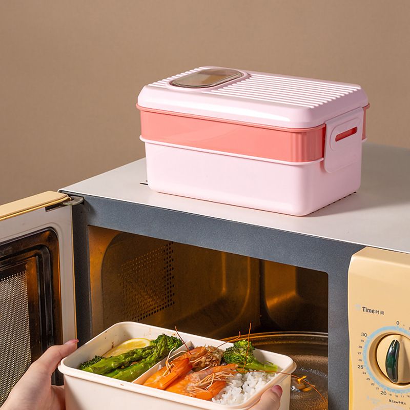 Minimalist Double-Layer Student Plastic Compartment Lunch Box Office Worker Lunch Bento Box Microwave Safe Heating